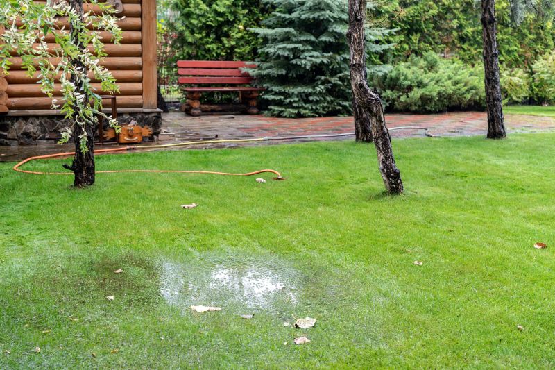 Waterlogged Yard Repair